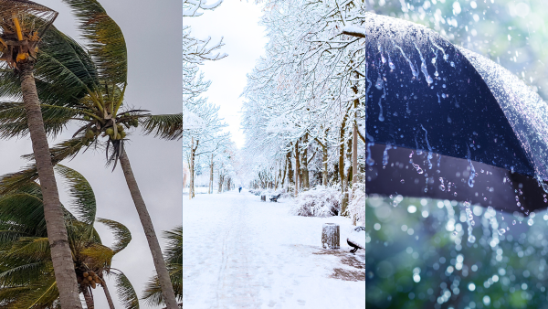 نشرة إنذارية .. أمطار قوية وهبات رياح مرتقبة من الثلاثاء إلى الخميس بعدد من مناطق المملكة