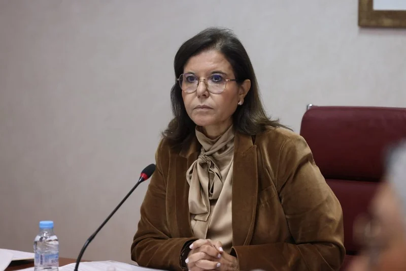 تعزيز السلامة البحرية.. الدريوش تترأس بالرباط اجتماع اللجنة المركزية للسلامة والوقاية من التلوث