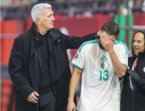 صفعة قوية للخضر قبل مواجهة الكونغو الديمقراطية