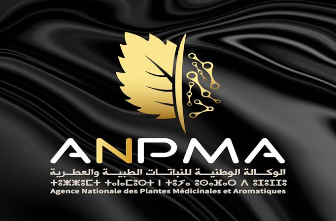 الحكومة تقرر حل وكالة النباتات الطبية والعطرية وتحويلها إلى مؤسسة جامعية