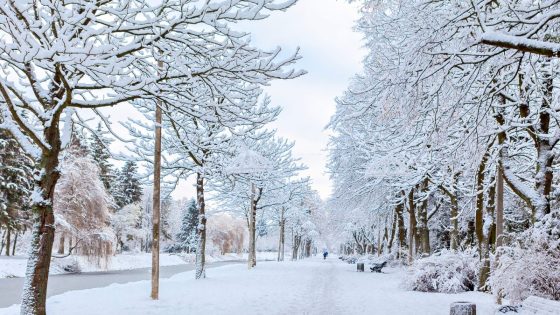 طقس الأربعاء..طقس بارد وأمطار مع رياح قوية مرتقبة بعدة مناطق بالمملكة