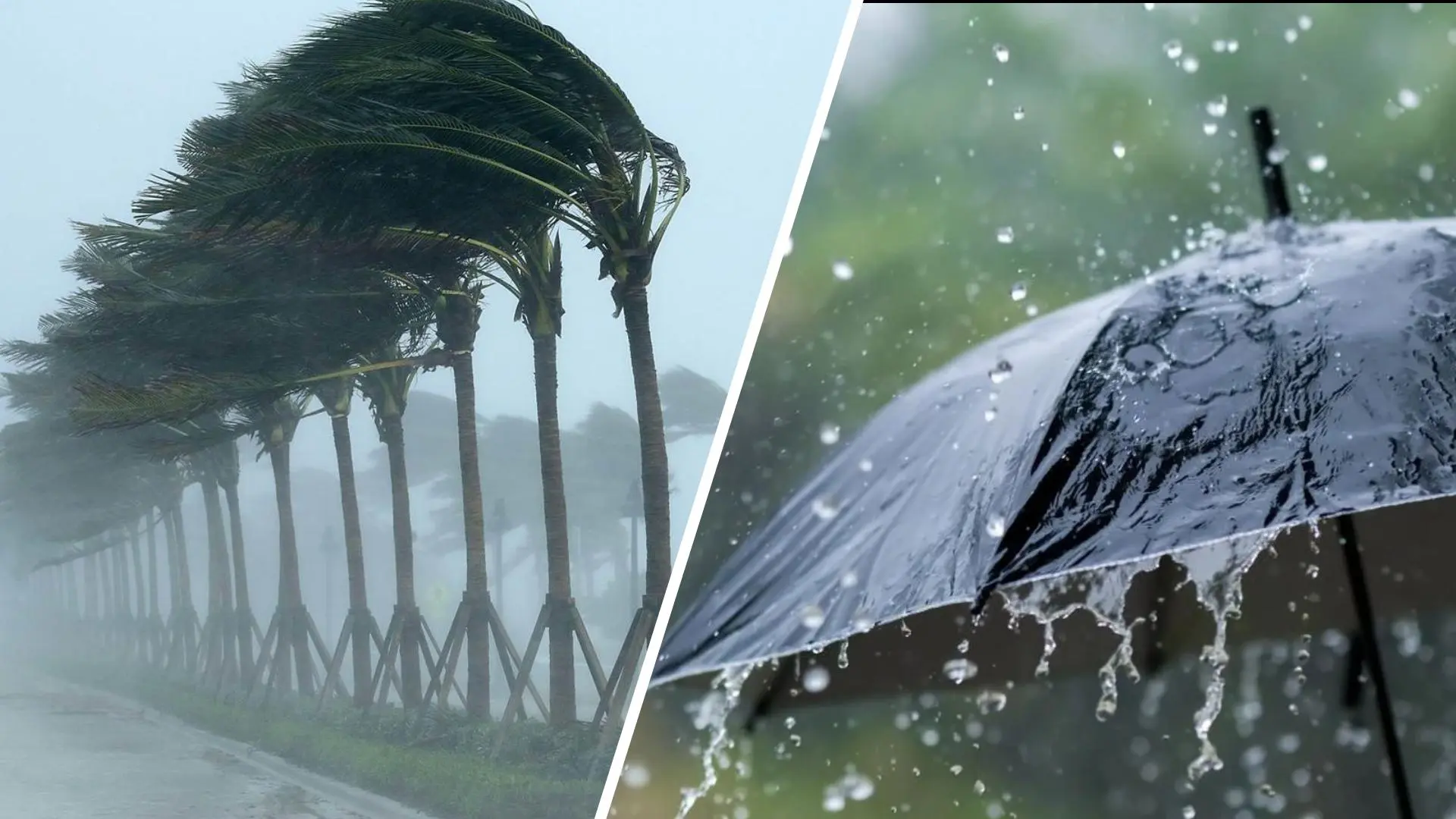 طقس الجمعة..استمرار الطقس البارد مع زخات مطرية