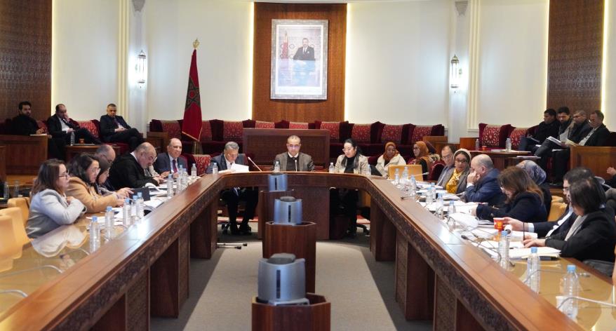 لجنة العدل بمجلس النواب تصادق على مشروع قانون “الدفع بعدم دستورية القوانين”