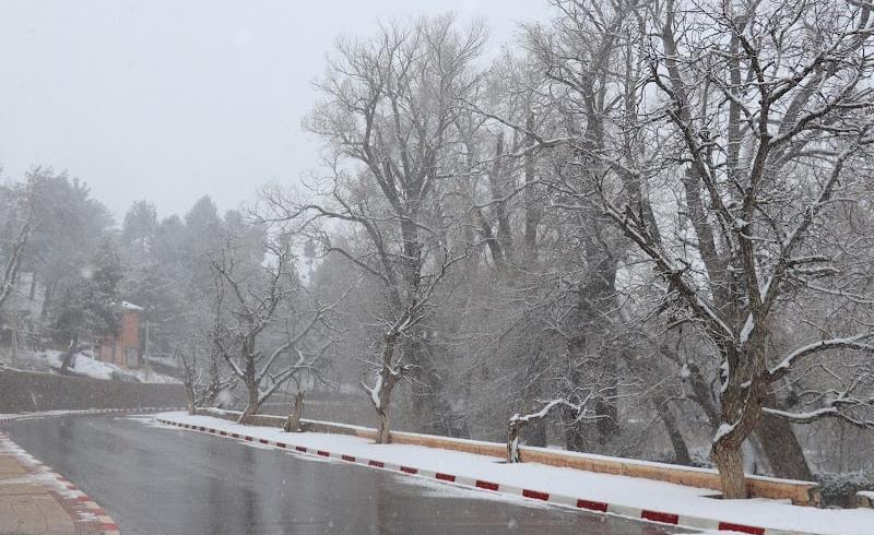 طقس الاثنين: أجواء باردة مع صقيع وانخفاض طفيف في درجات الحرارة