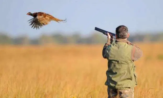 نهاية موسم القنص تسجل حصيلة إيجابية رغم 4 إصابات وحالات مخالفة محدودة