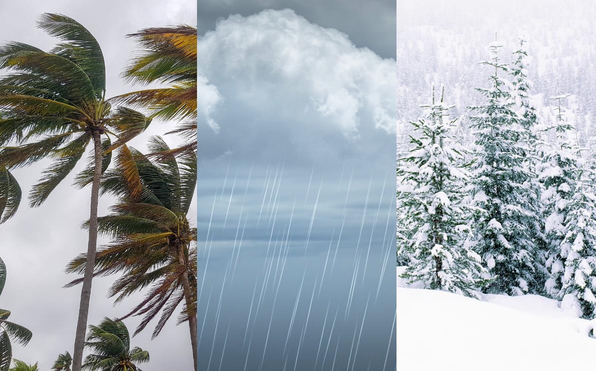 نشرة إنذارية .. تساقطات ثلجية وزخات مطرية قوية من الجمعة إلى الثلاثاء بعدد من مناطق المملكة