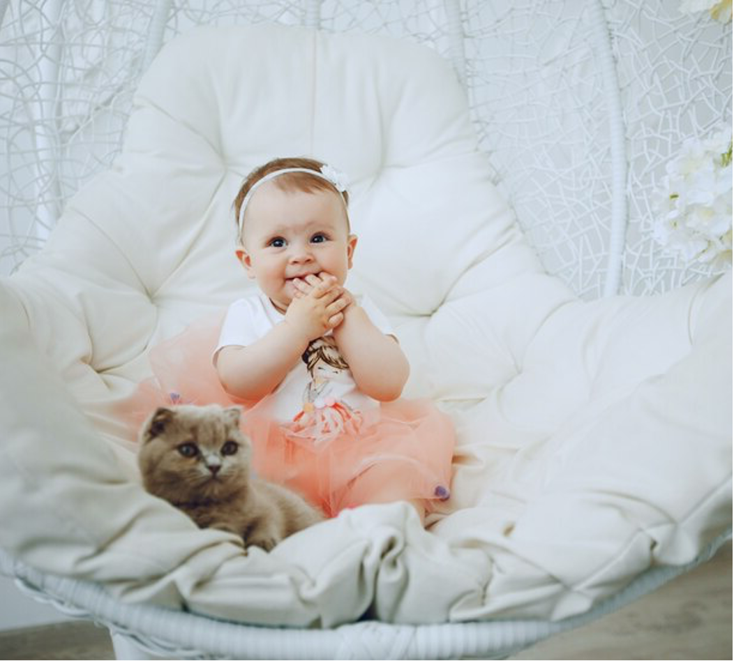 هل من الصحي تربية الطفل الحديث مع القطط؟