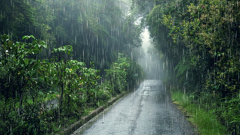 طقس الخميس.. أمطار وهبات رياح قوية مع استمرار انخفاض درجات الحرارة بعدد من المناطق