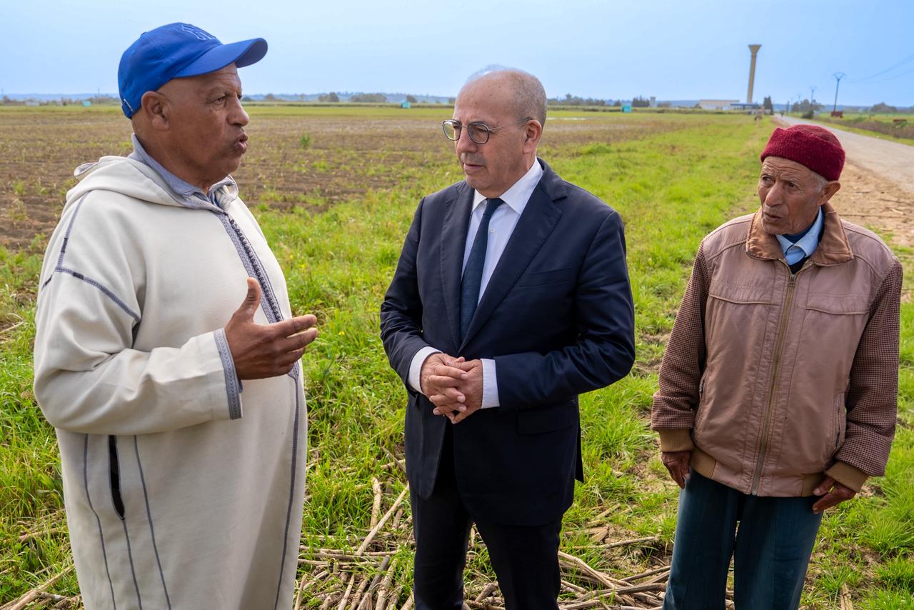 البواري يعقد اجتماعات عمل بالغرب واللوكوس لتنزيل خطة استئناف النشاط الفلاحي عقب الفيضانات
