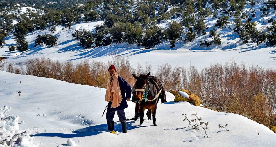 طقس الخميس.. أجواء باردة وصقيع مع سحب منخفضة بعدد من المناطق