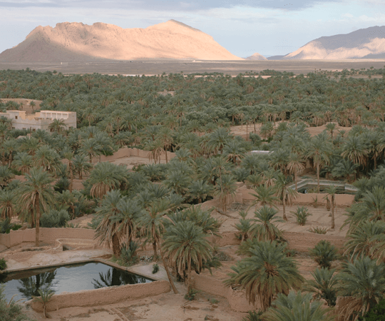 خطوة غير مسبوقة بجهة درعة–تافيلالت: فتح 361 جزءا منجميا أمام المنافسة على مساحة قياسية