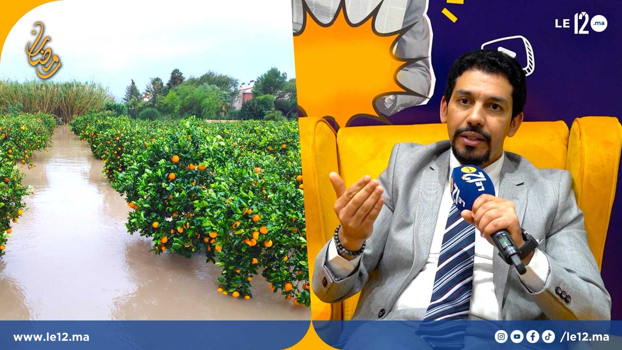 الفلاحة في عام الفيضان. المغرب سيحقق نسبة نمو 5,5 % (شاهد رأي إقتصادي)