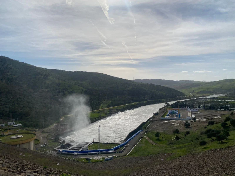 وزارة الاقتصاد: الظروف المناخية الاستثنائية تبشر بموسم فلاحي أفضل