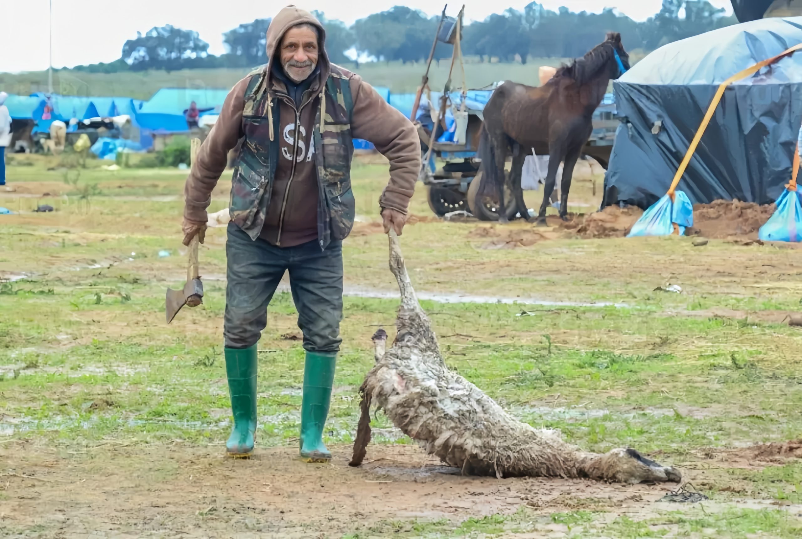 ​القرض الفلاحي للمغرب يطلق منظومة دعم استثنائية لفائدة المتضررين من التقلبات المناخية