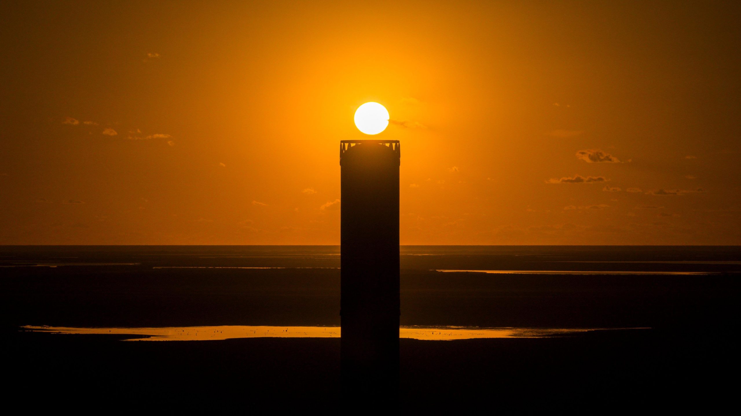 سبيس إكس تسعى لإطلاق أقمار صناعية لتشغيل مراكز بيانات الذكاء الاصطناعي بالطاقة الشمسية