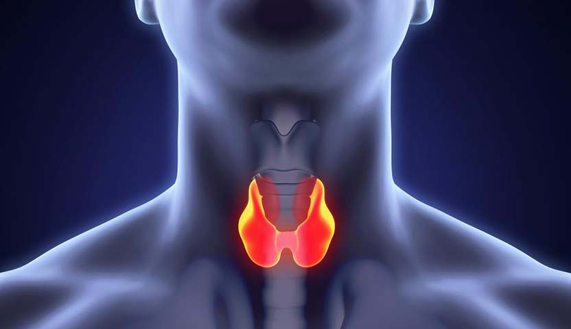 الصيام ومرضى الغدة الدرقية.. النظام عنوان النجاح