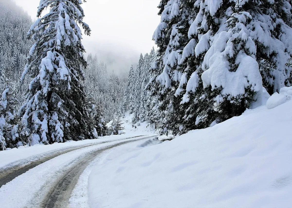 طقس الأربعاء.. استمرار الأجواء الباردة مع تكون صقيع ورياح قوية بعدد من المناطق