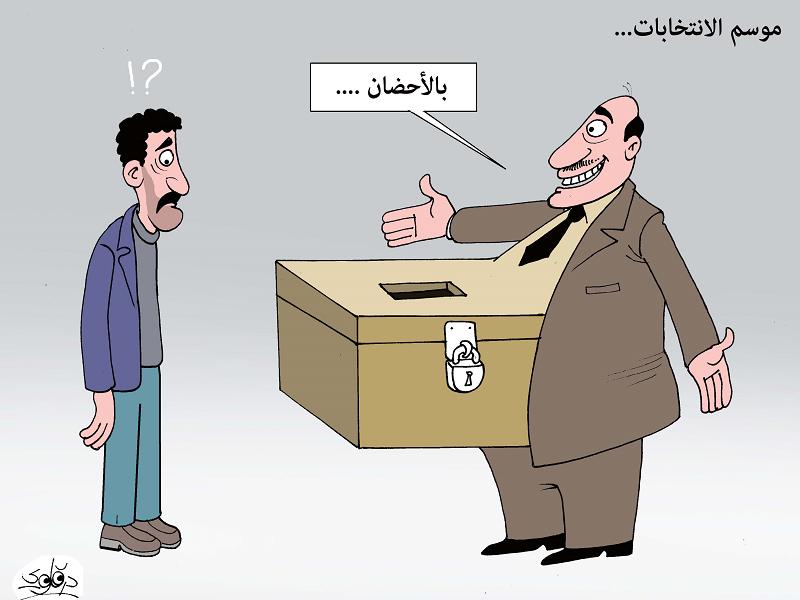 طريق إنتخابات 2026: «التراكتور» أمام عقبة ترجمة التزكيات الحزبية إلى مقاعد برلمانية