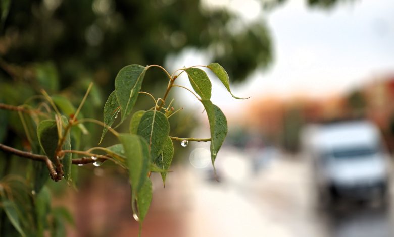 أمطار الخير تعمّ ربوع المملكة.. تارودانت وبولمان تتصدران مقاييس التساقطات