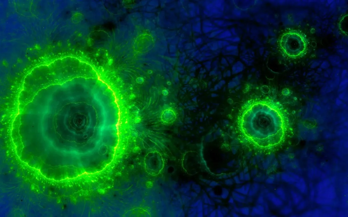 أسرار المحيطات القديمة.. اكتشاف حصائر ميكروبية مذهلة عمرها 180 مليون سنة بالمغرب