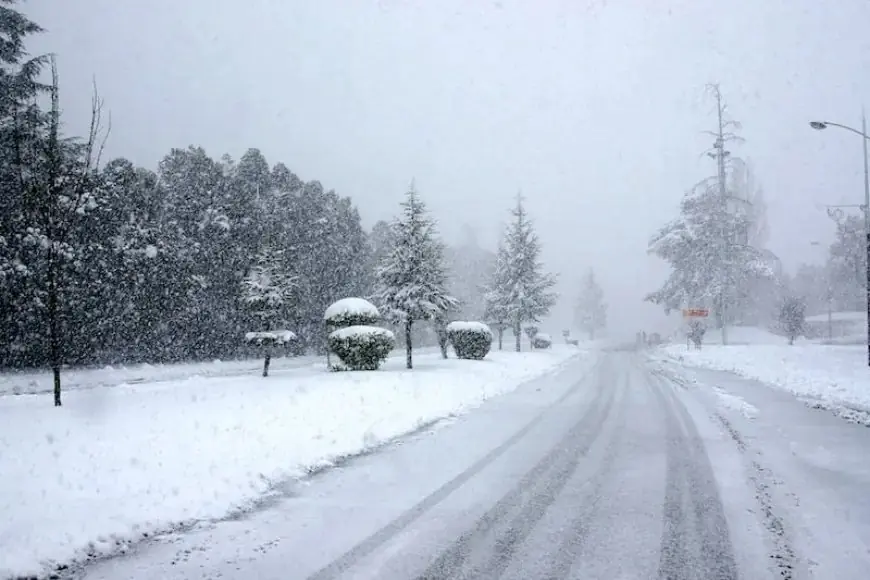 طقس الخميس.. استمرار الطقس البارد مع تساقطات ثلجية وأمطار بعدد من المناطق