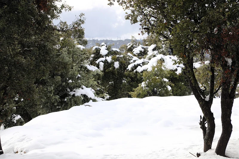 طقس الإثنين.. اجواء باردة مع أمطار ورياح قوية بعدد من المناطق