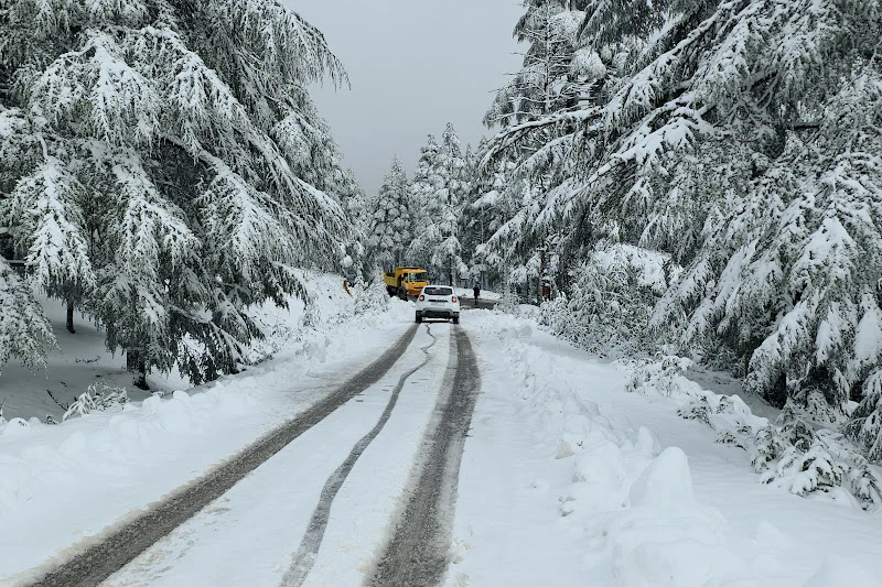 طقس الخميس.. زخات مطرية مع هبات رياح قوية وثلوج بعدد من المناطق