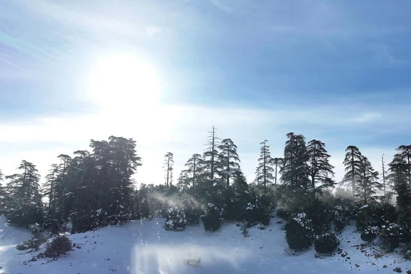 طقس السبت.. استمرار الطقس البارد مع امطار ورياح قوية بعدد من المناطق