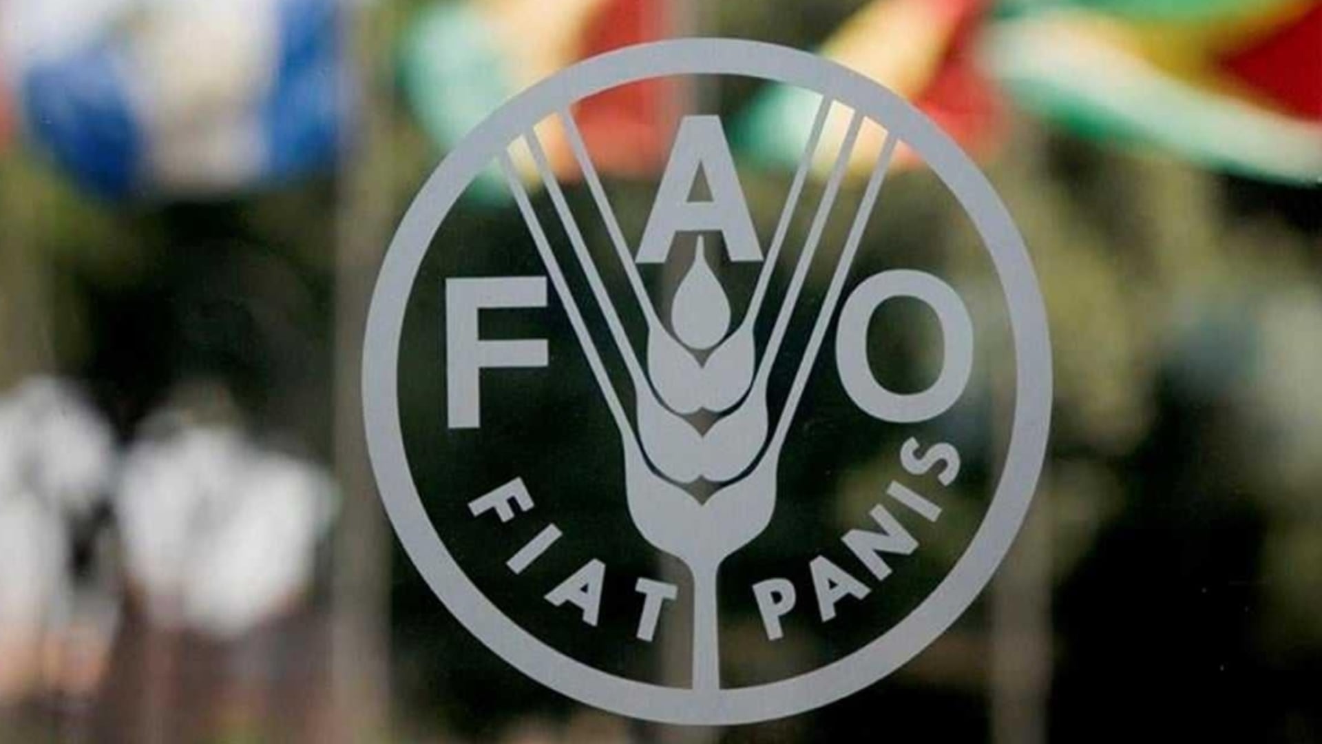 انتخاب المغرب نائباً لرئيس هيئة تدابير الصحة النباتية التابعة لـ “الفاو” بروما