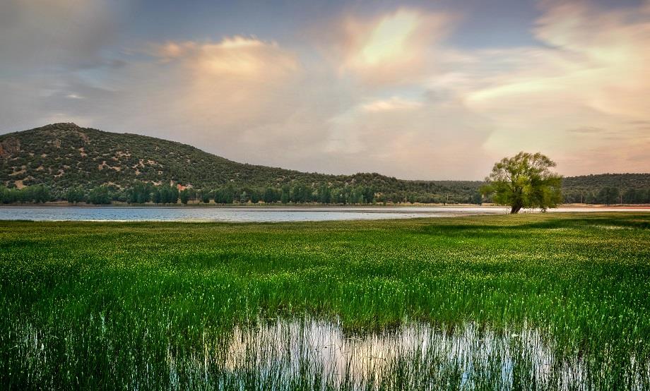 طقس الأحد.. أجواء باردة في المرتفعات وأمطار متفرقة بعدد من مناطق المملكة
