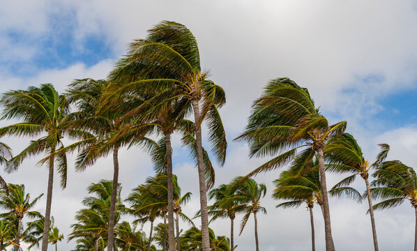 نشرة برتقالية.. طقس بارد ورياح قوية يومي الإثنين والثلاثاء بعدد من مناطق المملكة