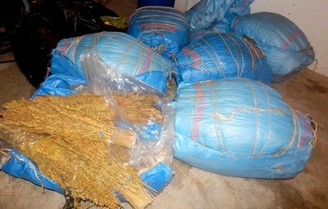 بتنسيق مع “الديستي”.. ضربة أمنية موجعة لبارونات المخدرات بإقليم اشتوكة آيت باها