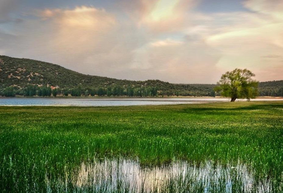 طقس السبت.. أمطار خفيفة بعدة مناطق مع ارتفاع مرتقب في درجات الحرارة