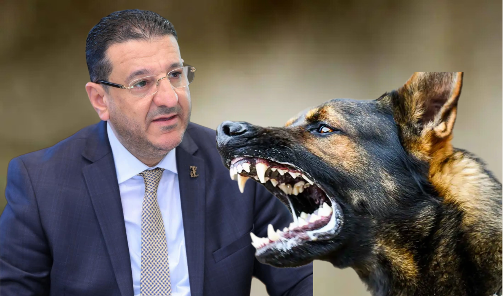 عضة كلب ترسل رئيس جماعة مرتيل إلى المستشفى وتُعيد ملف “السلامة العامة” إلى الواجهة