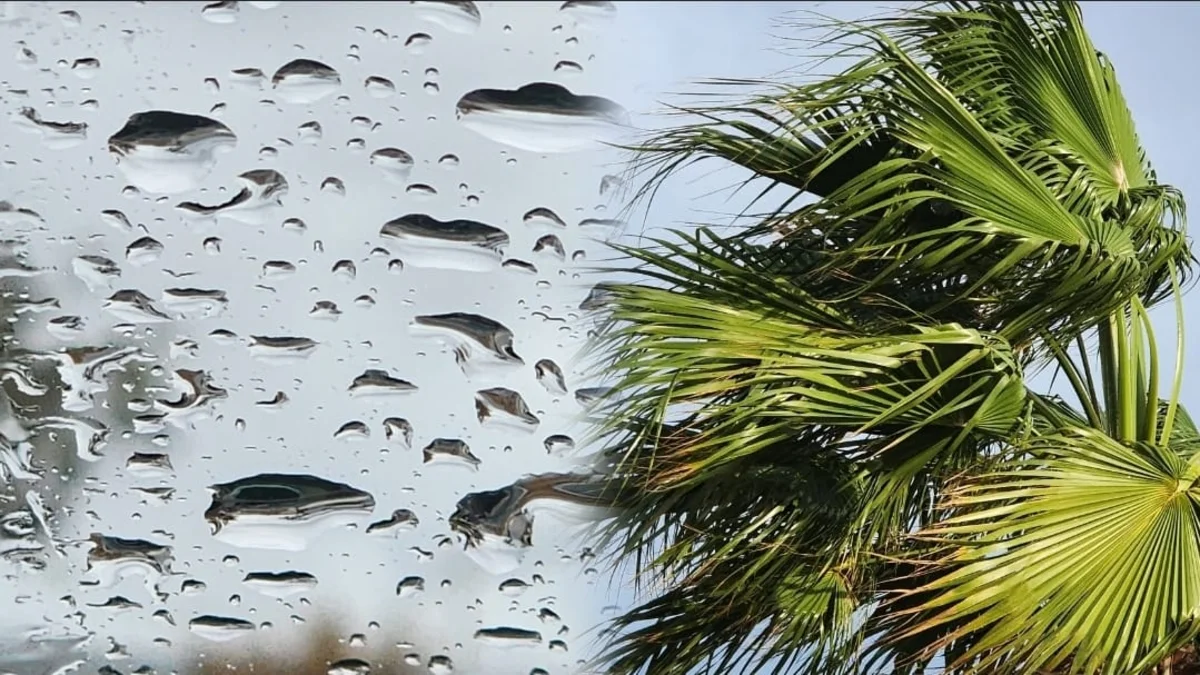 طقس الأربعاء.. أجواء باردة بالمرتفعات وأمطار متفرقة بعدد من الأقاليم 