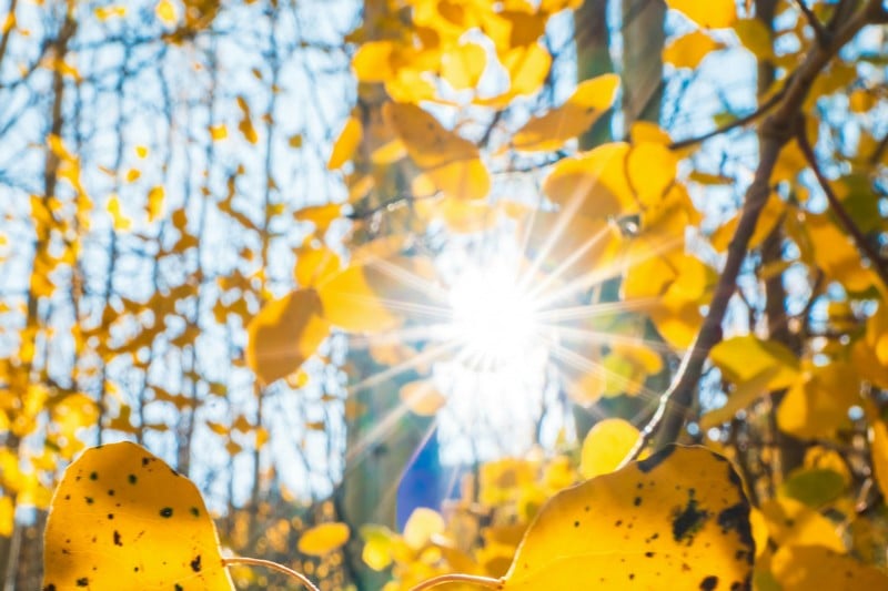 طقس الأحد.. طقس حار في الأقاليم الجنوبية وسوس وزخات رعدية بالأطلس 