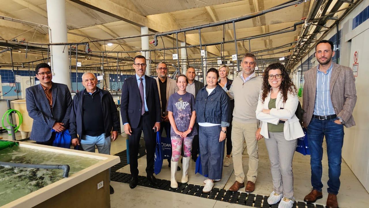 جهة سوس ماسة وجزر الكناري تعززان تعاونهما في مجال تربية الأحياء المائية