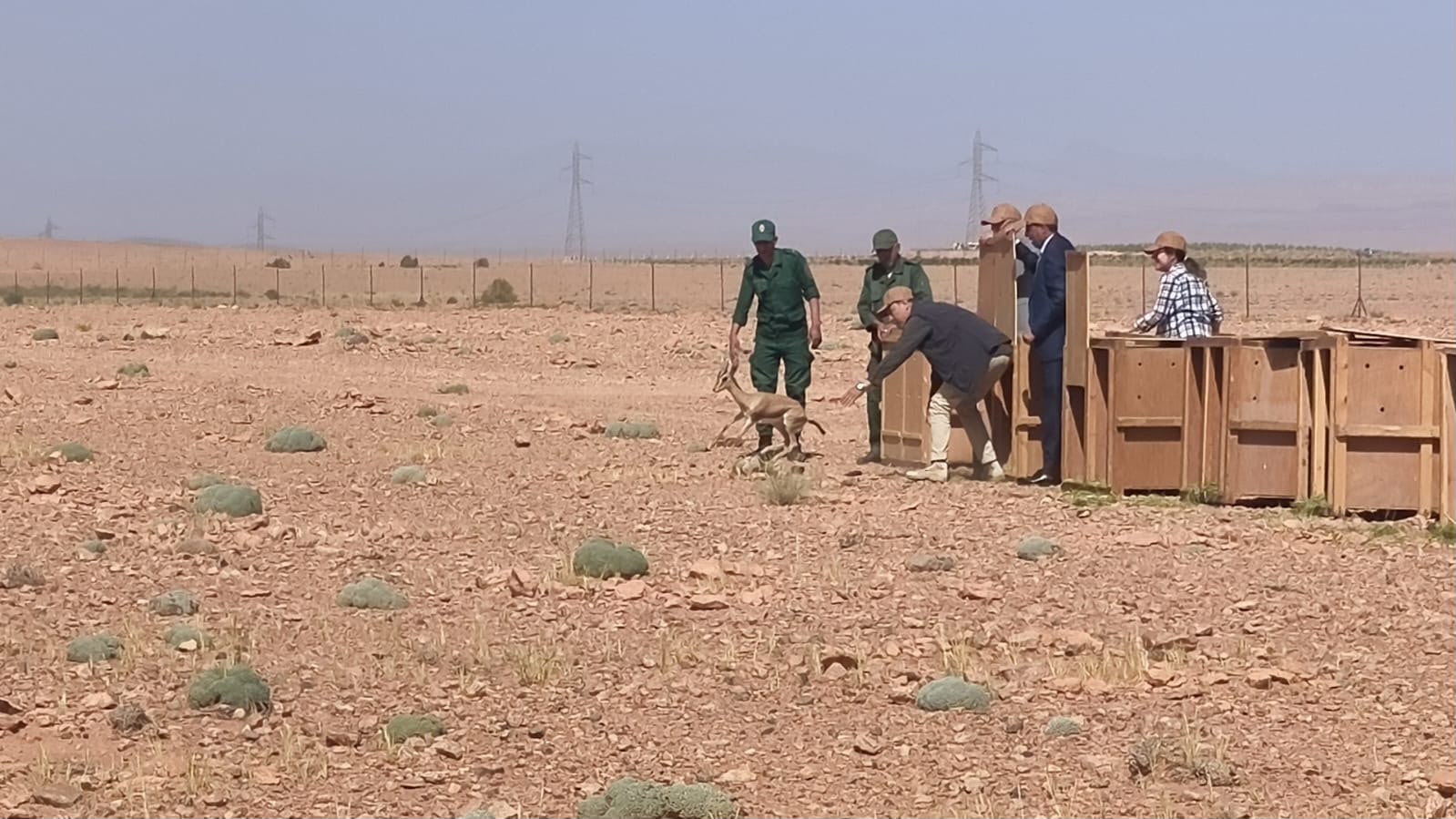 اطلاق نعام وعزلان في البر وزرع مليون سمكة في المياه …هكذا خلدت وكالة المياه والغابات يوم التنوع البيولوجي بالرشيدية وتنغير