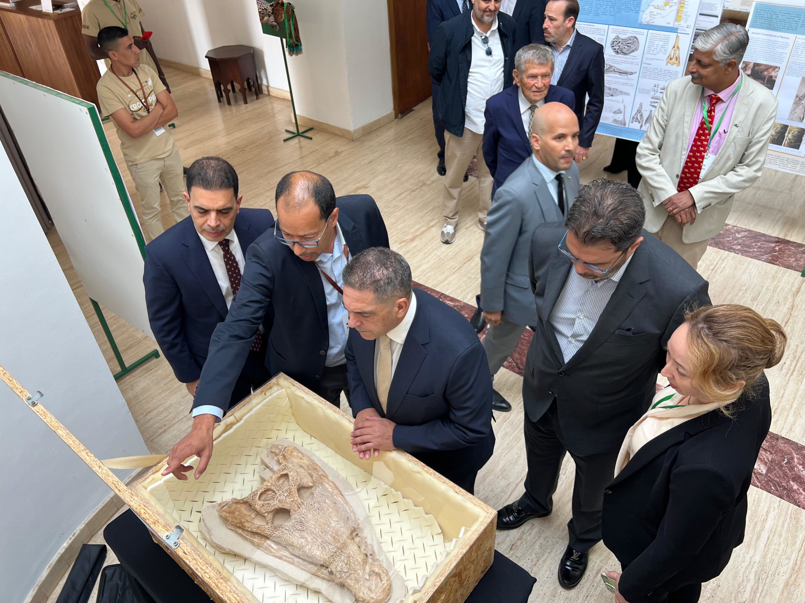لأول مرة في شمال إفريقيا.. أكادير تحتضن أضخم تجمع عالمي لخبراء التماسيح