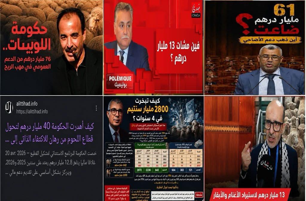آراء.. حقيقة دعم الأغنام.. “واحد فيهم كذاب”