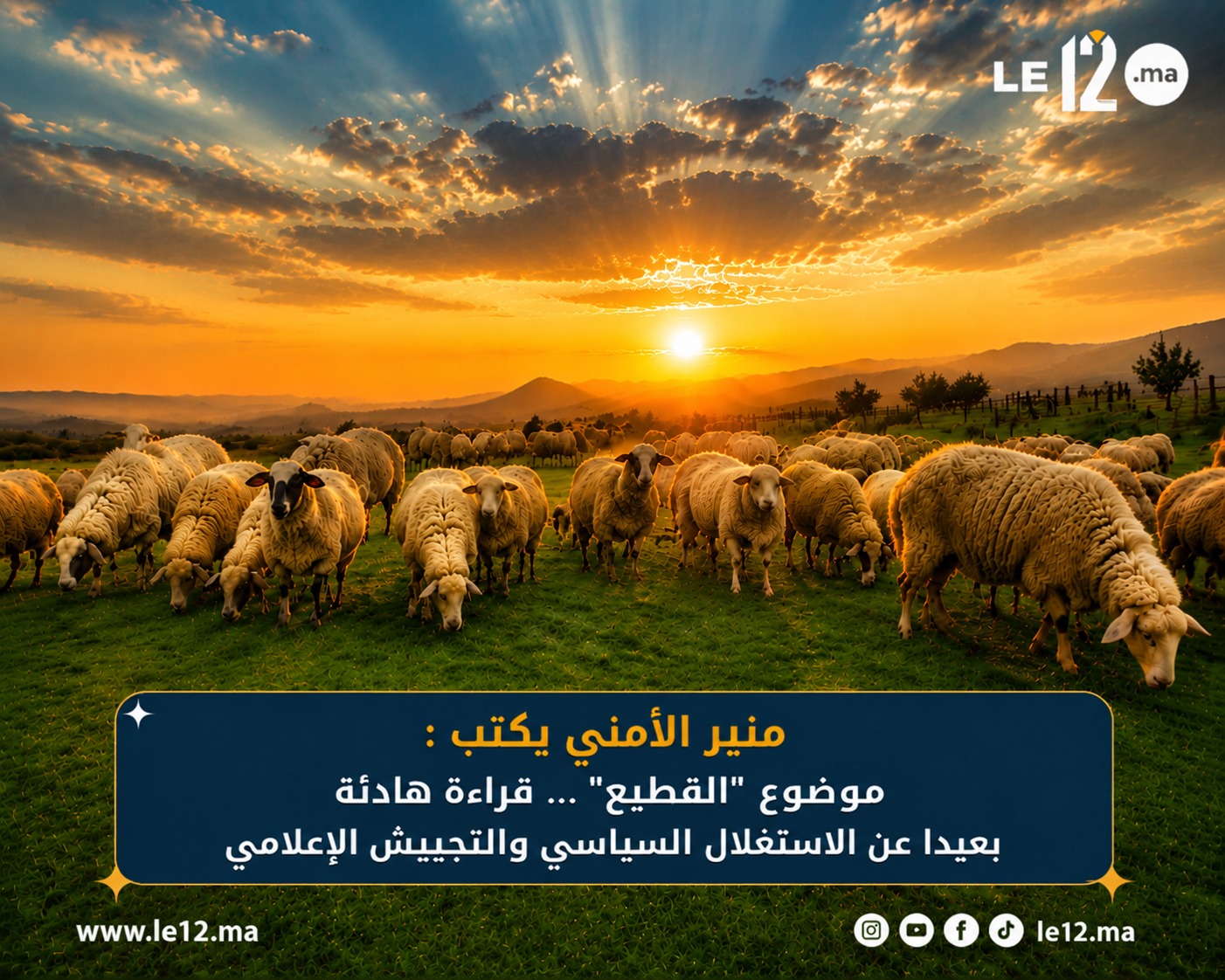 منير الأمني يكتب : موضوع “القطيع”… قراءة هادئة بعيدا عن الاستغلال السياسي والتجييش الإعلامي
