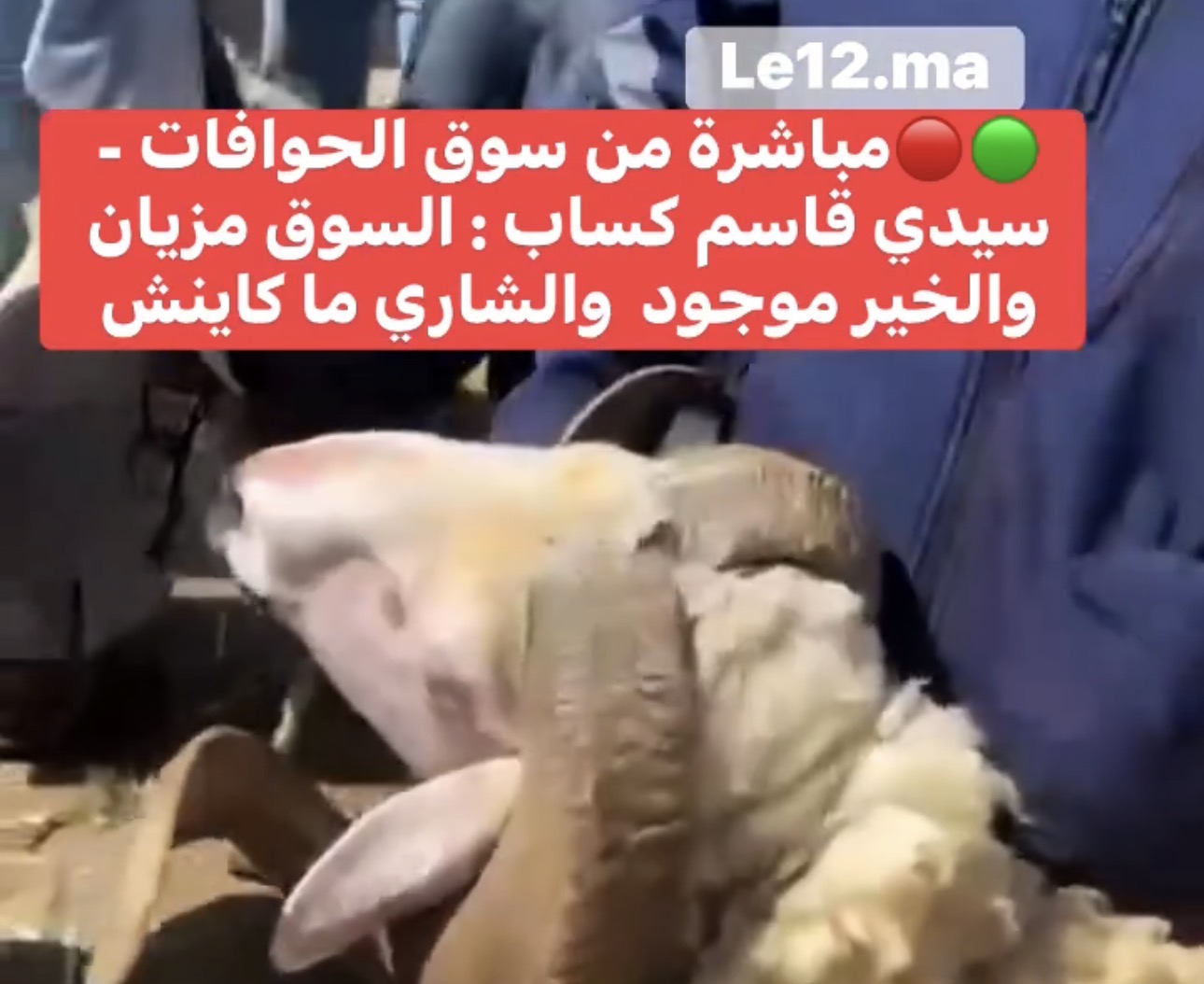 شاهد من سيدي قاسم | كساب : السوق مزيان والخير موجود والشاري ما كاينش
