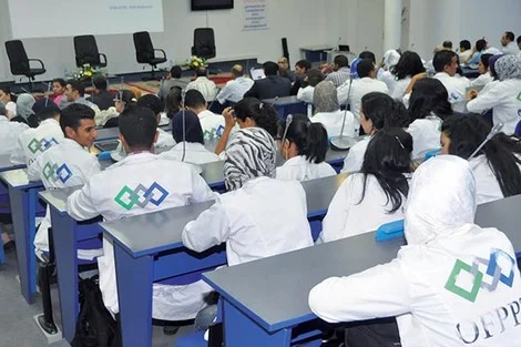 وزارة التكوين المهني تعلن صرف الشطر الثالث من المنح.. التفاصيل وآجال الاستفادة 