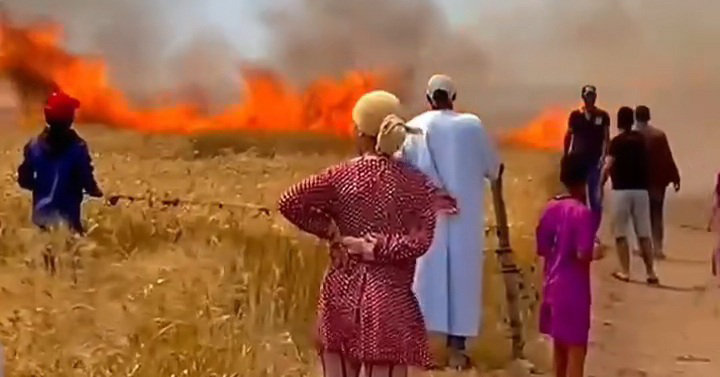 النيران تلتهم هكتارات من محاصيل القمح بآسفي وسطات.. والوقاية المدنية تستنفر جهودها