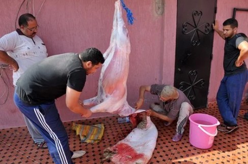 “لونسا” توضح الطريقة الصحيحة لتخزين لحوم الأضاحي خلال عيد الأضحى