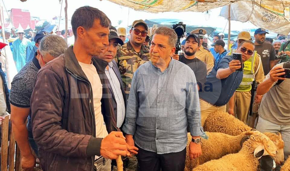 خدمة نقية في أكادير بعد قرار حكومة أخنوش.. الوالي نزل إلى رحبة الأضاحي وهكذا كان رد الكسابة والزوار (فيديو)