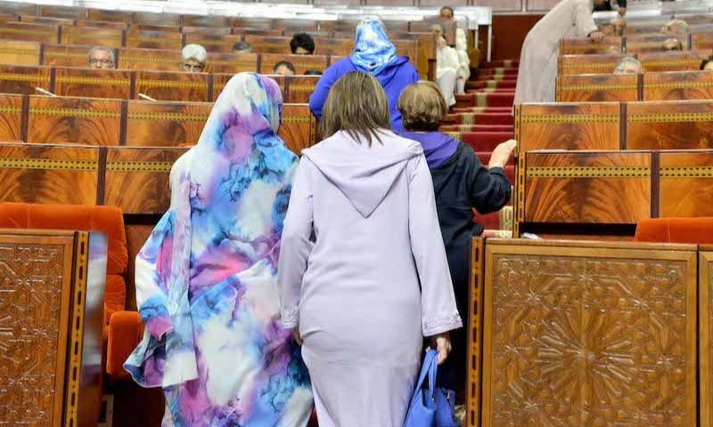 انتخابات 2026.. “الكوطا النسائية”.. من حل مؤقت إلى نظام دائم