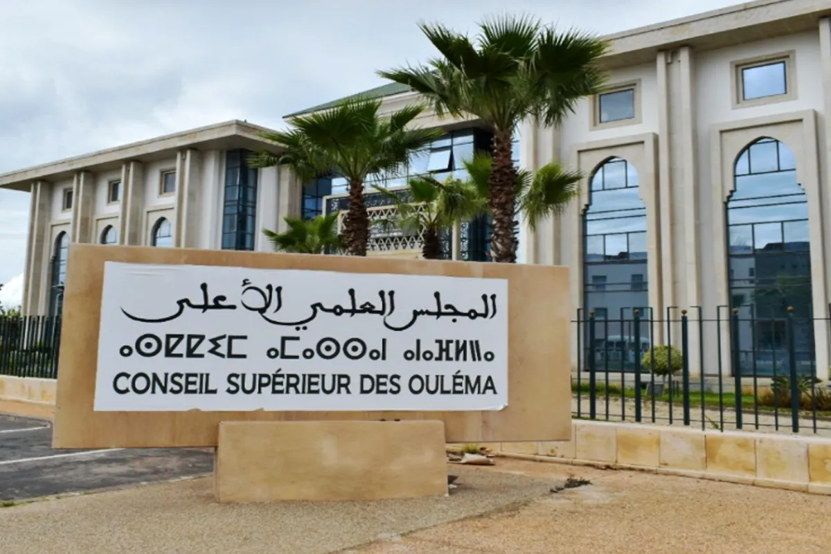 السيرة النبوية والزكاة والتبليغ.. أبرز ملفات الدورة الـ37 للمجلس العلمي الأعلى 