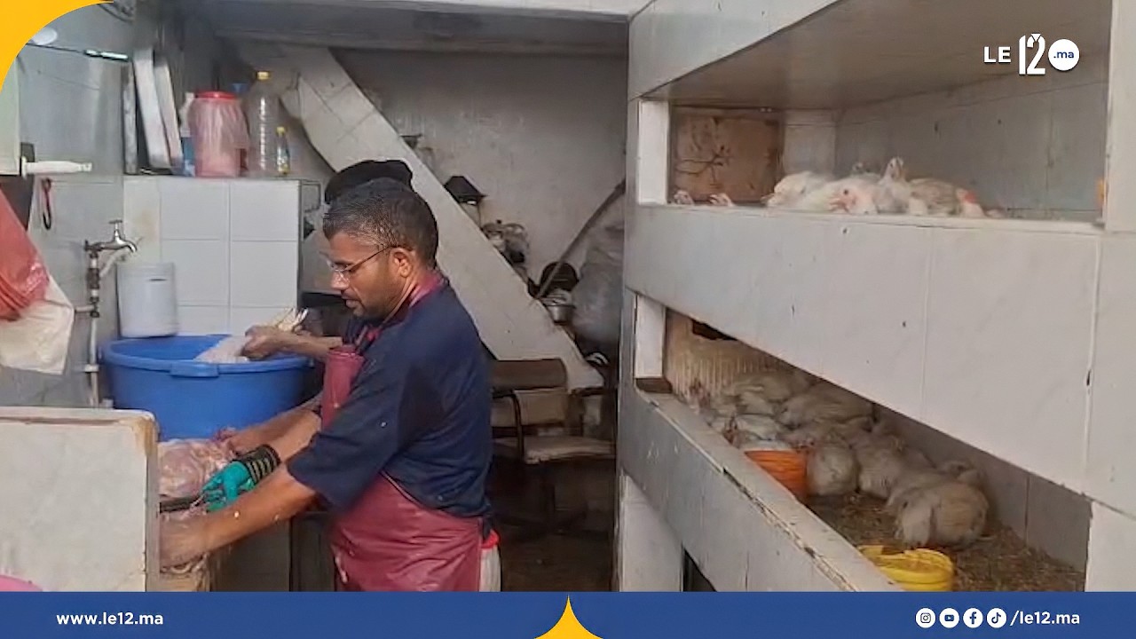 تراجع أسعار الدجاج يعيد الزبائن إلى الأسواق.. وهذه الفئات الأكثر استفادة (فيديو)