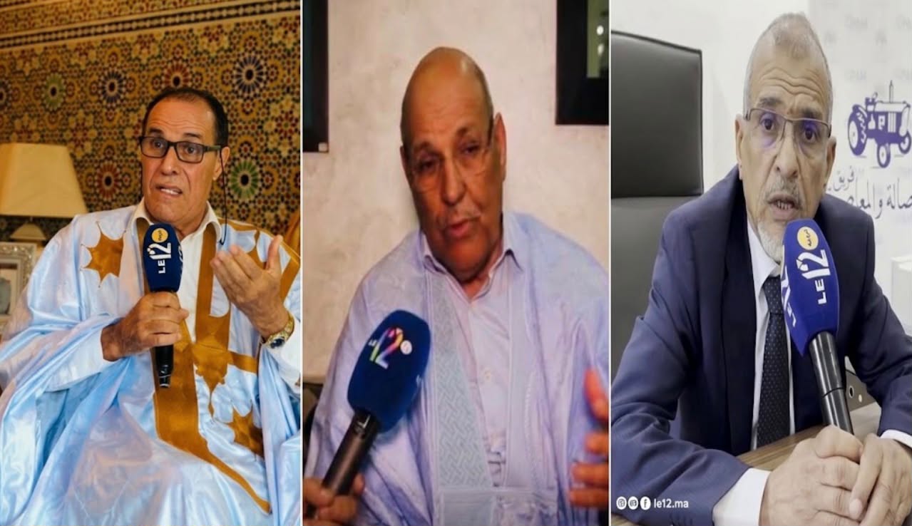انتخابات الصحراء.. السباعي: «لن يكون الفائز في العيون ولد الرشيد أو الجماني أو الدرهم..» (حوار/ ح7)